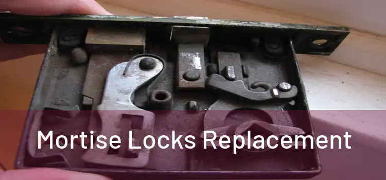  Mortise Locks Replacement 